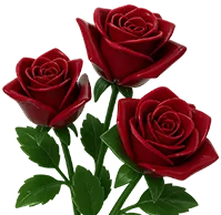 Hybrid Tea